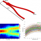 Y-branch geometry and its dimensions